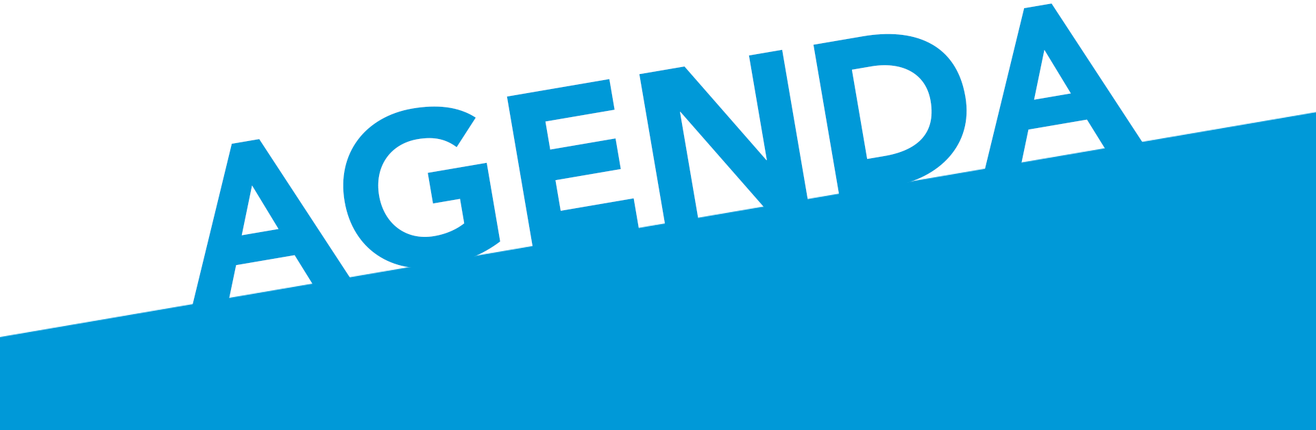 AGENDA