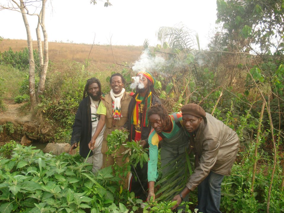 Résultat de recherche d'images pour "rasta congo"